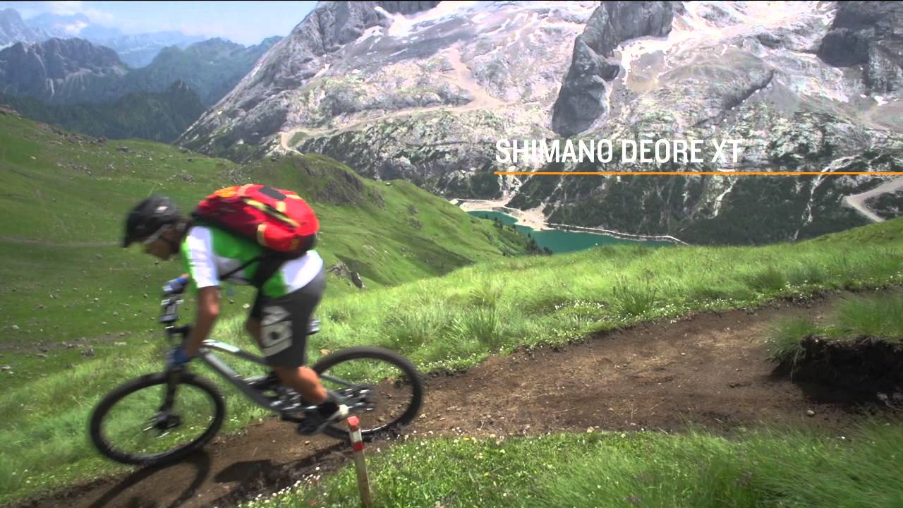 Canyon Nerve AL 8.0, 9.0 und 9.0 SL - Features and Facts - Deutsch