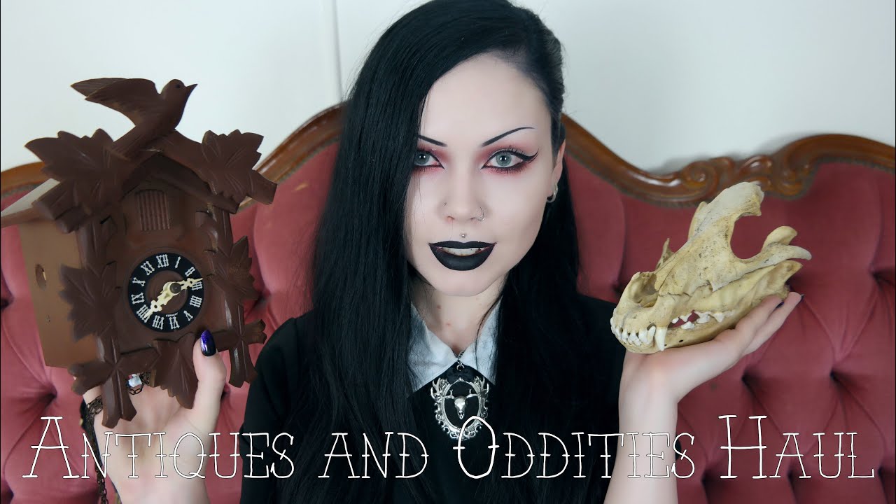 ANTIQUES AND ODDITIES HAUL || Dingo Bones, Goth Sofa and more!