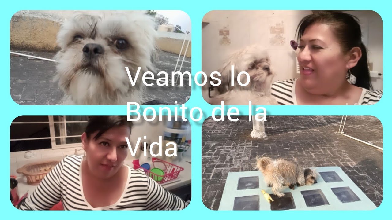 Ya tengo para ir con mi papá 🙏🏻💰/el CHURRIS sé esconde 😂/DIOS NOS REGALA COSAS BELLAS 🙏🏻🌹👍🏻