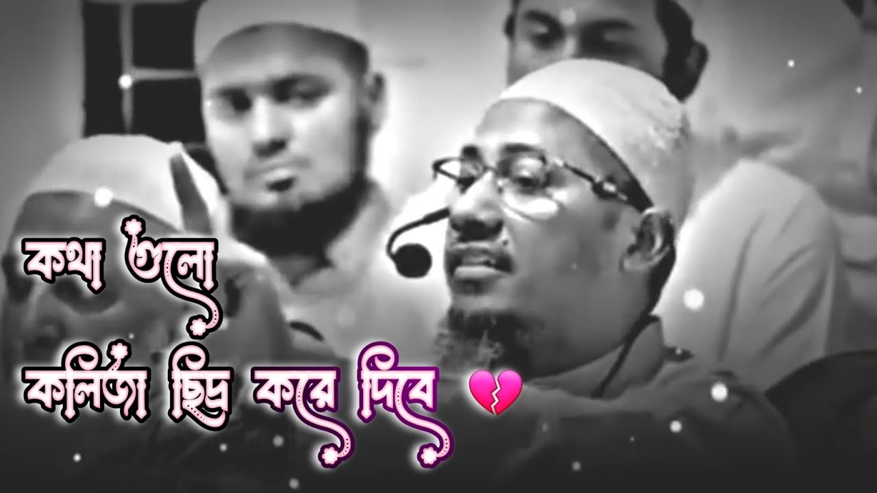 মাওলানা আনিসুর রহমান আশরাফী 
