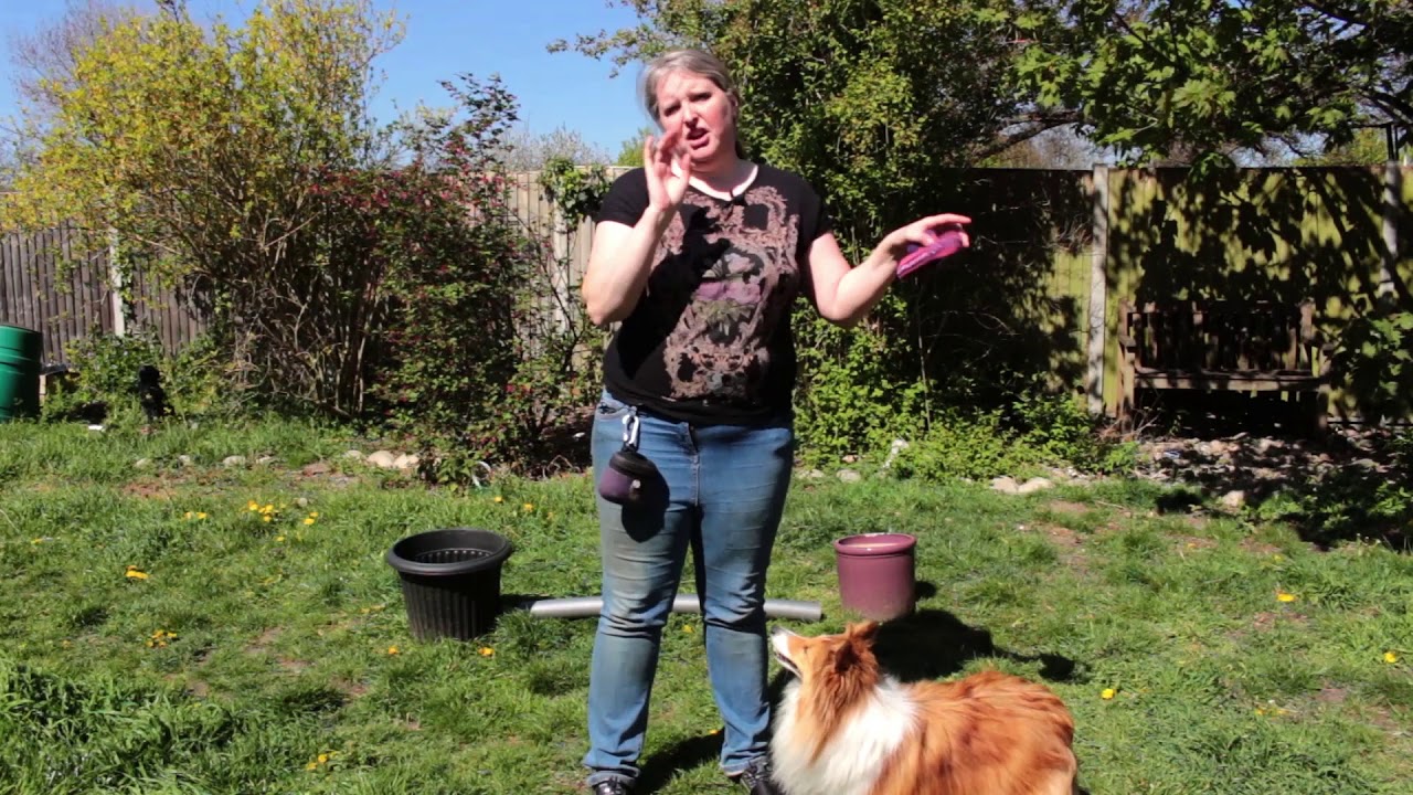 Garden Agility: #6 German Turns