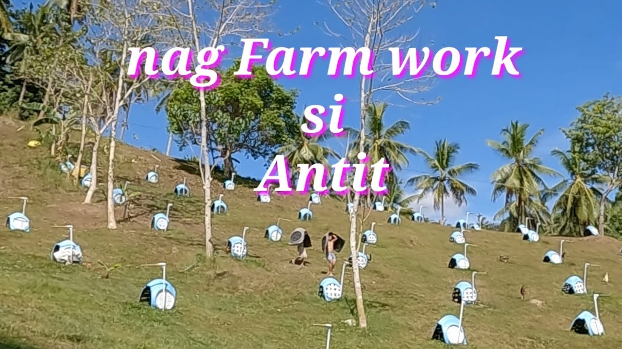 EP354: farm work with Antit