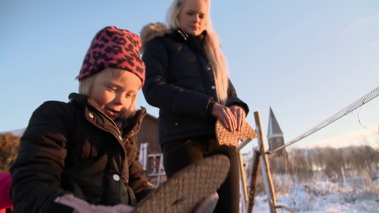 Djurens lärdom om kärlek