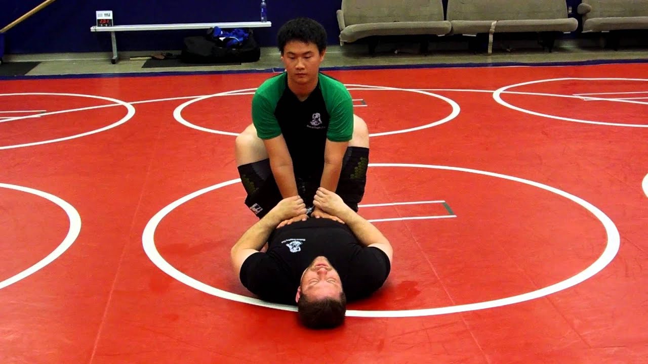 M.G.C. Instr. #201:  Fedor Arm-Bar