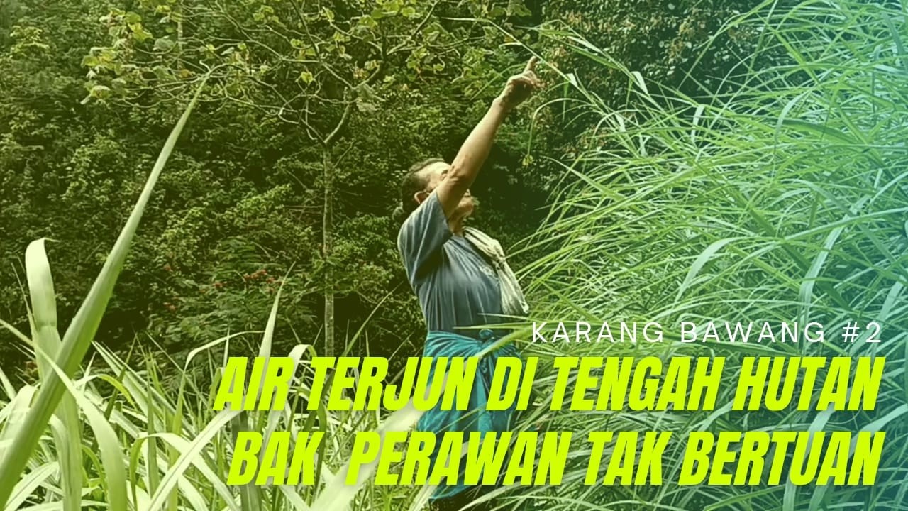 AIR TERJUN DI TENGAH HUTAN BAK PERAWAN TAK BERTUAN, KARANG BAWANG #2