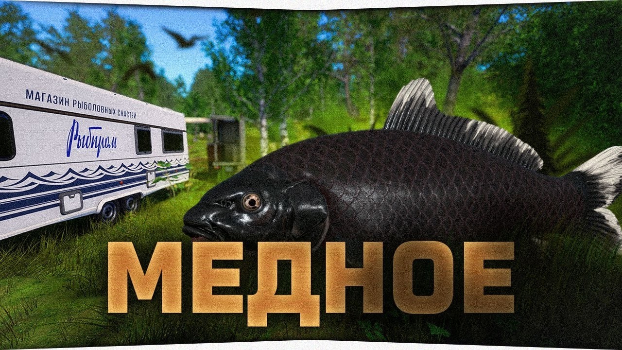 Поход на Медное за красной рыбой но наловил карси карпа!