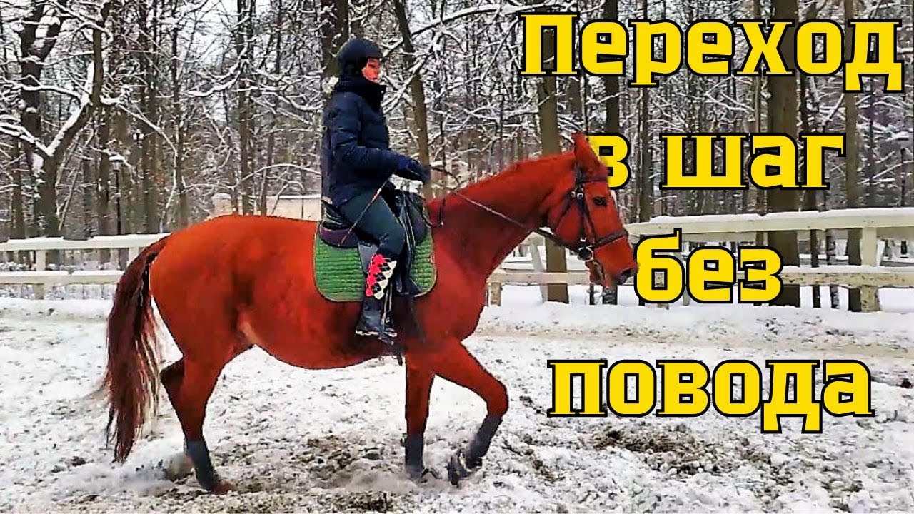 Переходы в шаг без повода