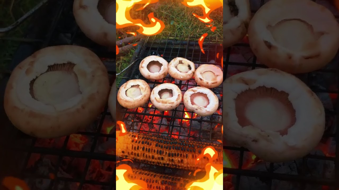 mangalda mantar / barbecue mushroom #barbecue #mushroom #food #shorts