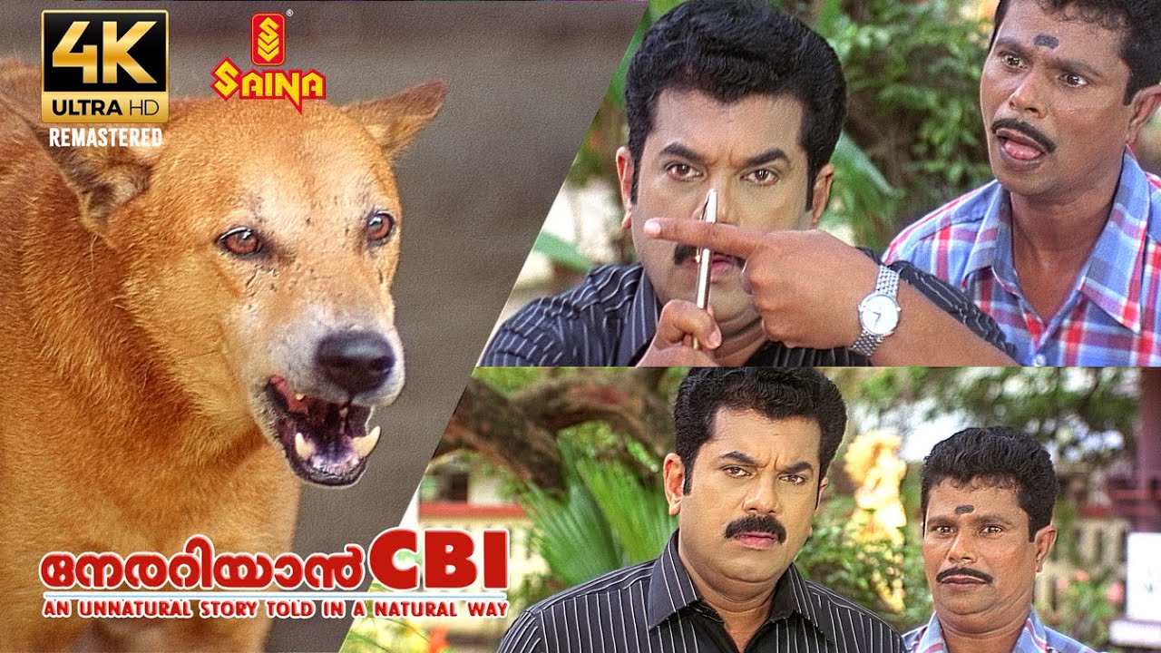 ഇത് സാധനം മറ്റേതാ..!! | Nerariyan CBI 4K Remastered | Mammootty | Mukesh | Indrans | S N Swamy