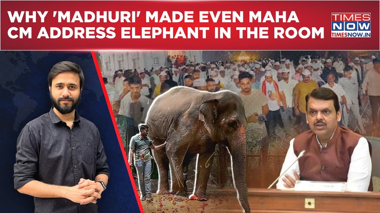 Maharashtra: Elephant 'Madhuri' Gets CM Fadnavis' Assurance| How Kolhapur Stood In Jain Mutt Vs PETA