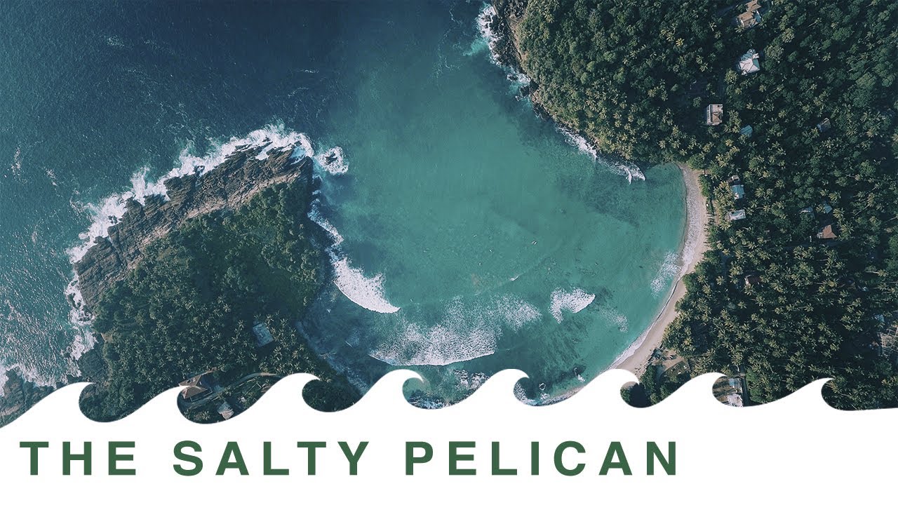 SRI LANKA | SALTY PELICAN
