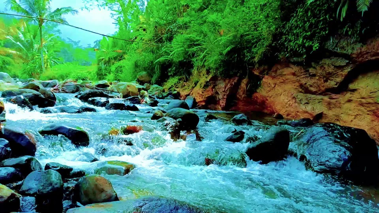 Soothing River Water Sounds for Deep Sleep and Anxiety Relief