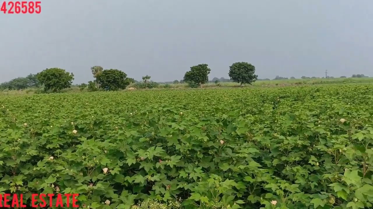 Amaravati capital Ravela 80 centlu rate 75 lakhs