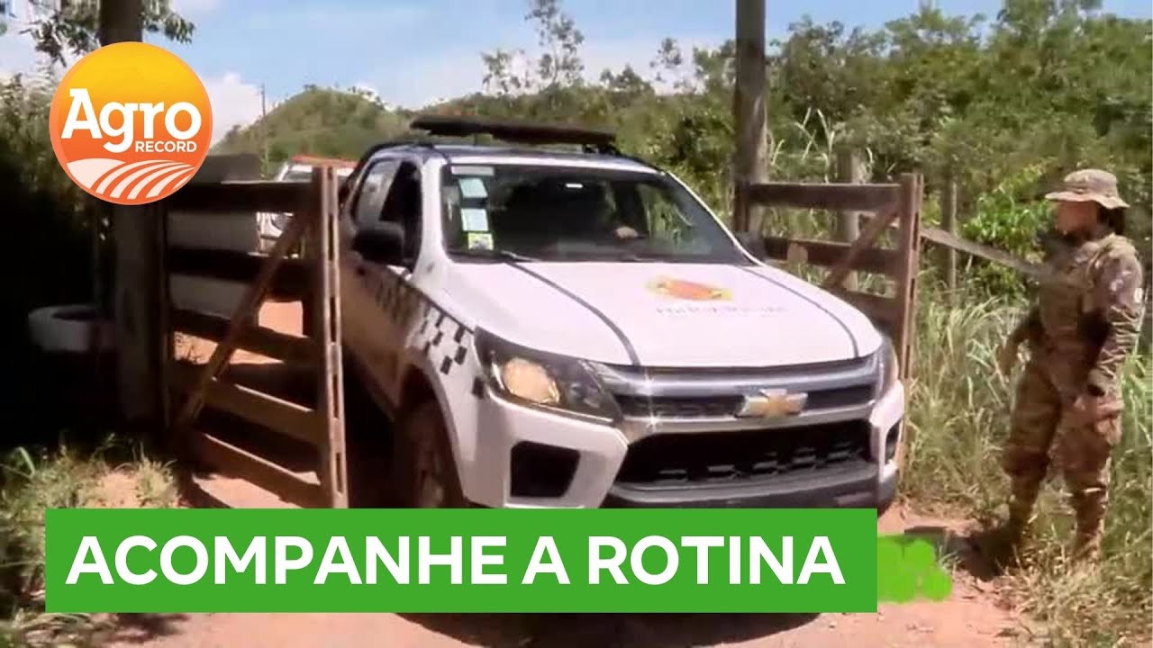 Saiba como é feito o trabalho do Batalhão de Policiamento Rural do DF | Agro Record DF