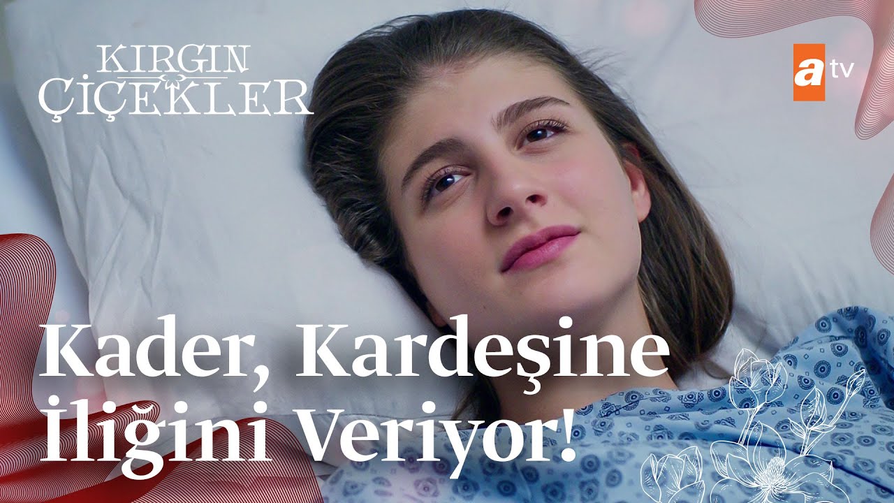 Kader, kardeşine iliğini veriyor! | Kırgın Çiçekler