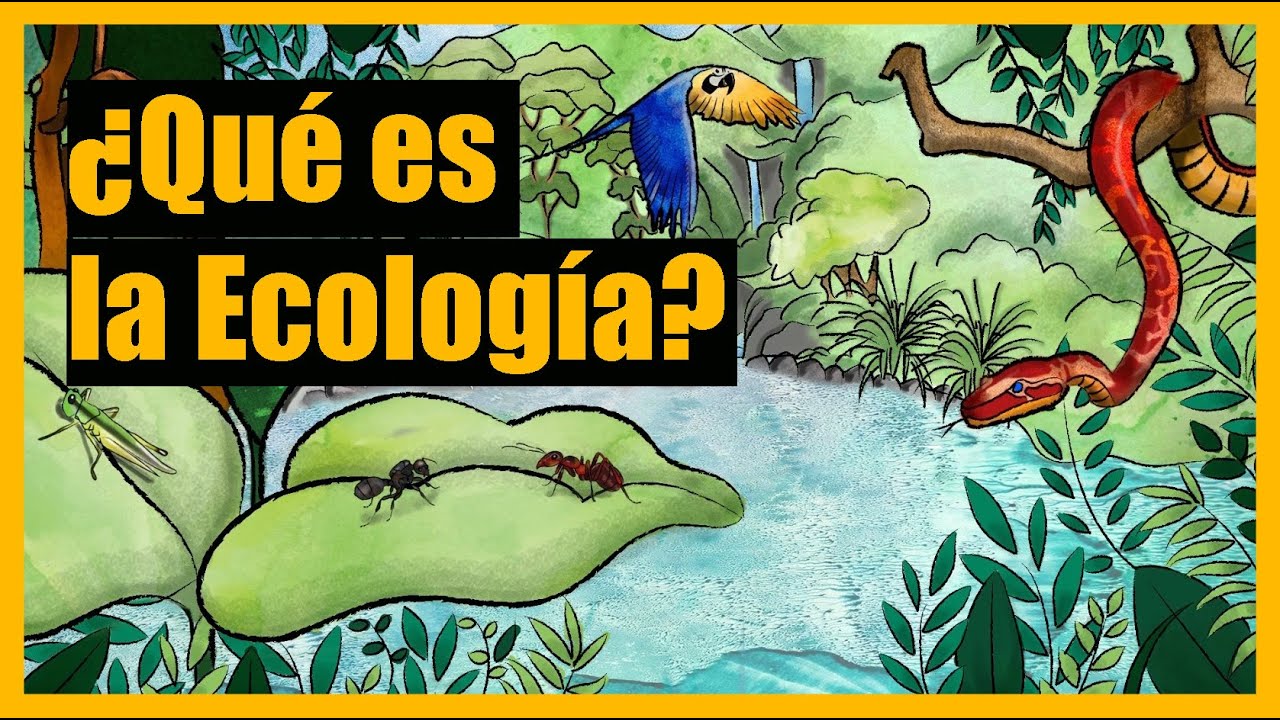 &iquest;Qu&eacute; es la Ecolog&iacute;a?