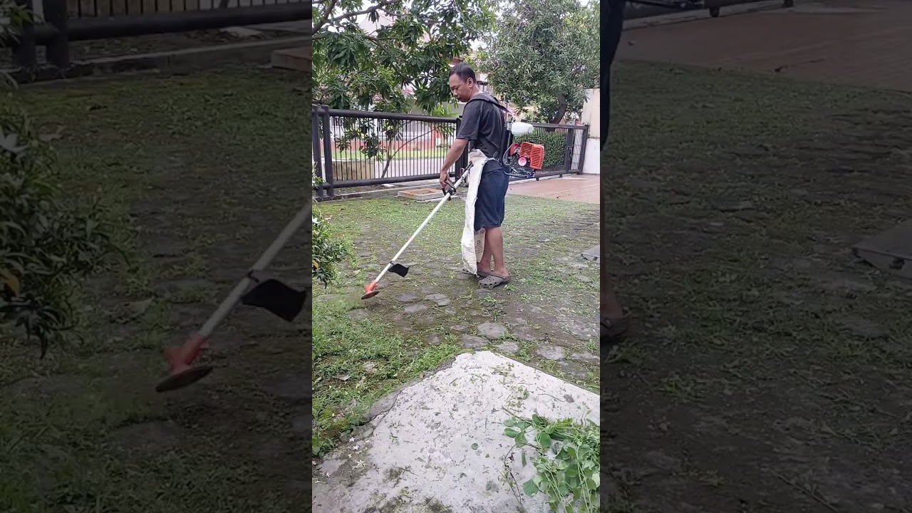 Belajar potong rumput 