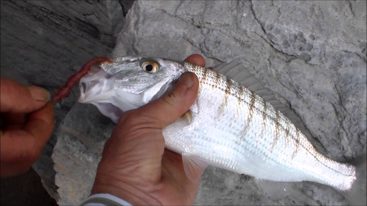 Surf Casting in Thasos