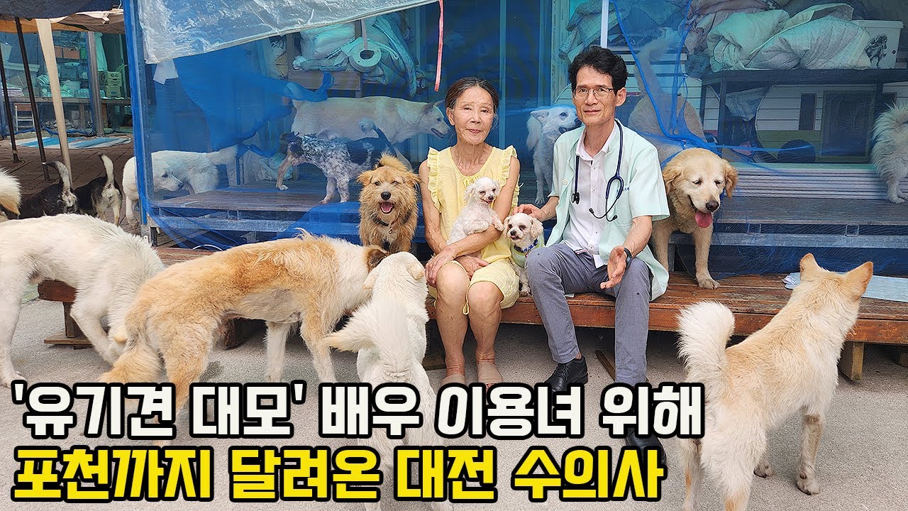 100마리 강아지 고양이와 사는 배우 이용녀, 20년째 전재산 들여 유기견 돌보는 이유