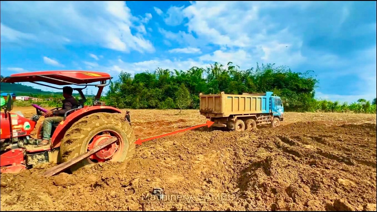 The dump truck is pulling the tractor and is stuck in the ditch