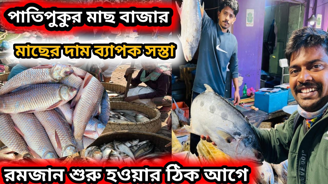 পাতিপুকুর মাছ বাজারে সমস্ত মাছের দাম কেমন চলছে রমজানের ঠিক আগে || patipukur fish market #fish
