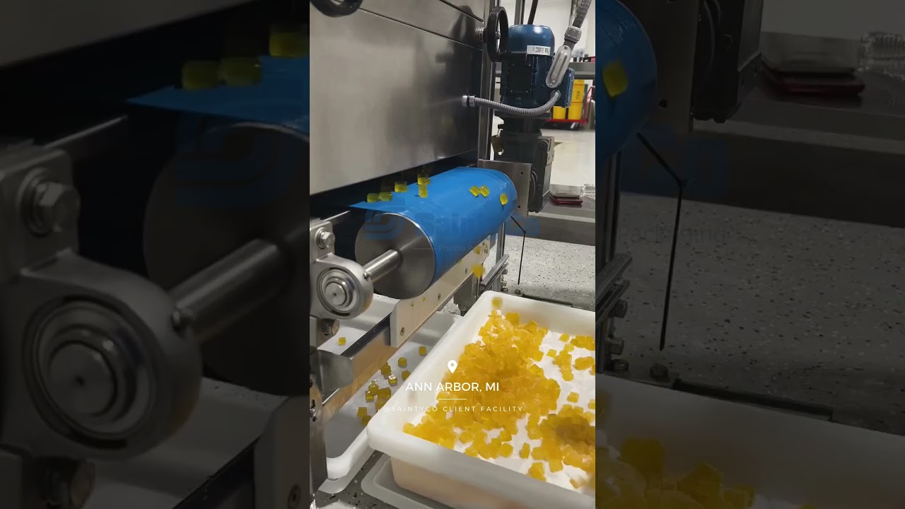 Ann Arbor, MI - SaintyCo G80 Gummy Line in Action &ndash; 30,000 Gummies/Hour at a Cannabis Facility