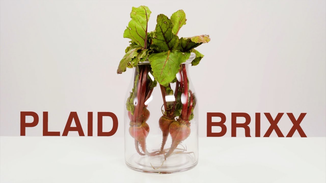 Plaid Brixx - Beat Goes On