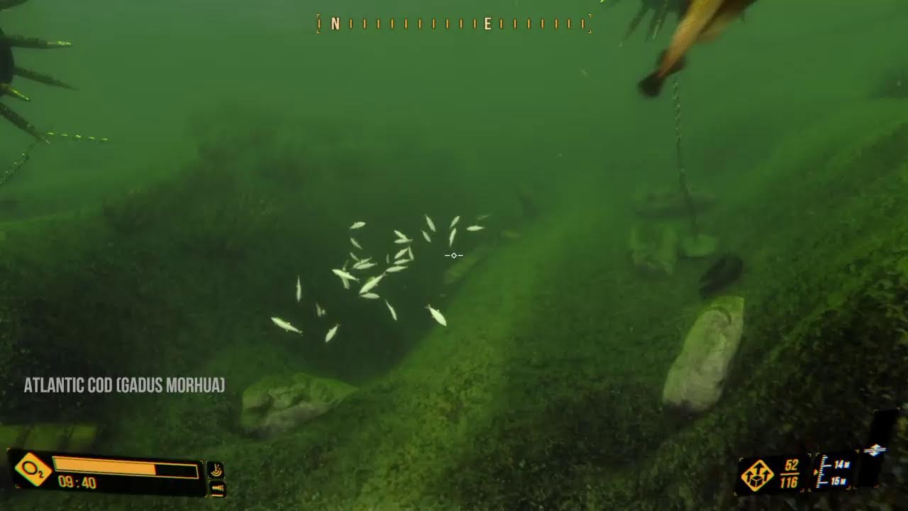 Deep Diving Adventures Ps4 Gameplay