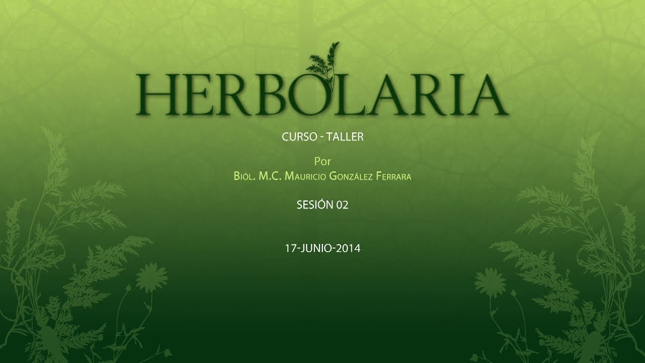 Curso de Herbolaria: Plantas Medicinales y Usos Tradicionales | Biólogo Mauricio González #2