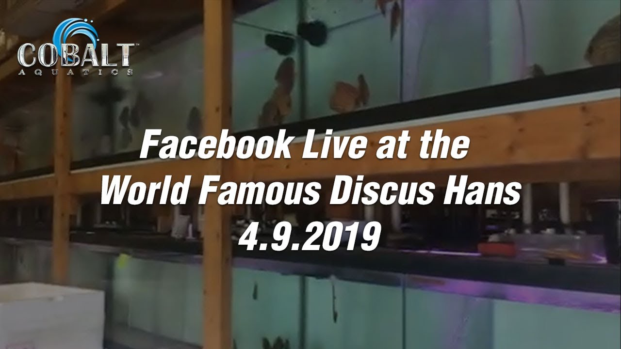 Facebook Live at the World Famous Discus Hans