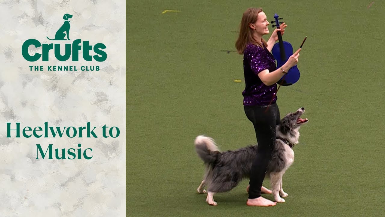 Heelwork To Music - Freestyle International Competition Part 2 | Crufts 2024