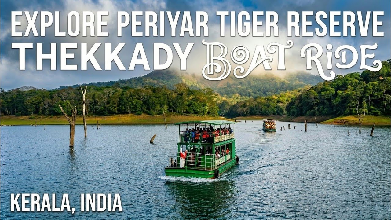 Periyar Tiger Reserve, Kerala I Periyar National Park I Wildlife Safari I Boating