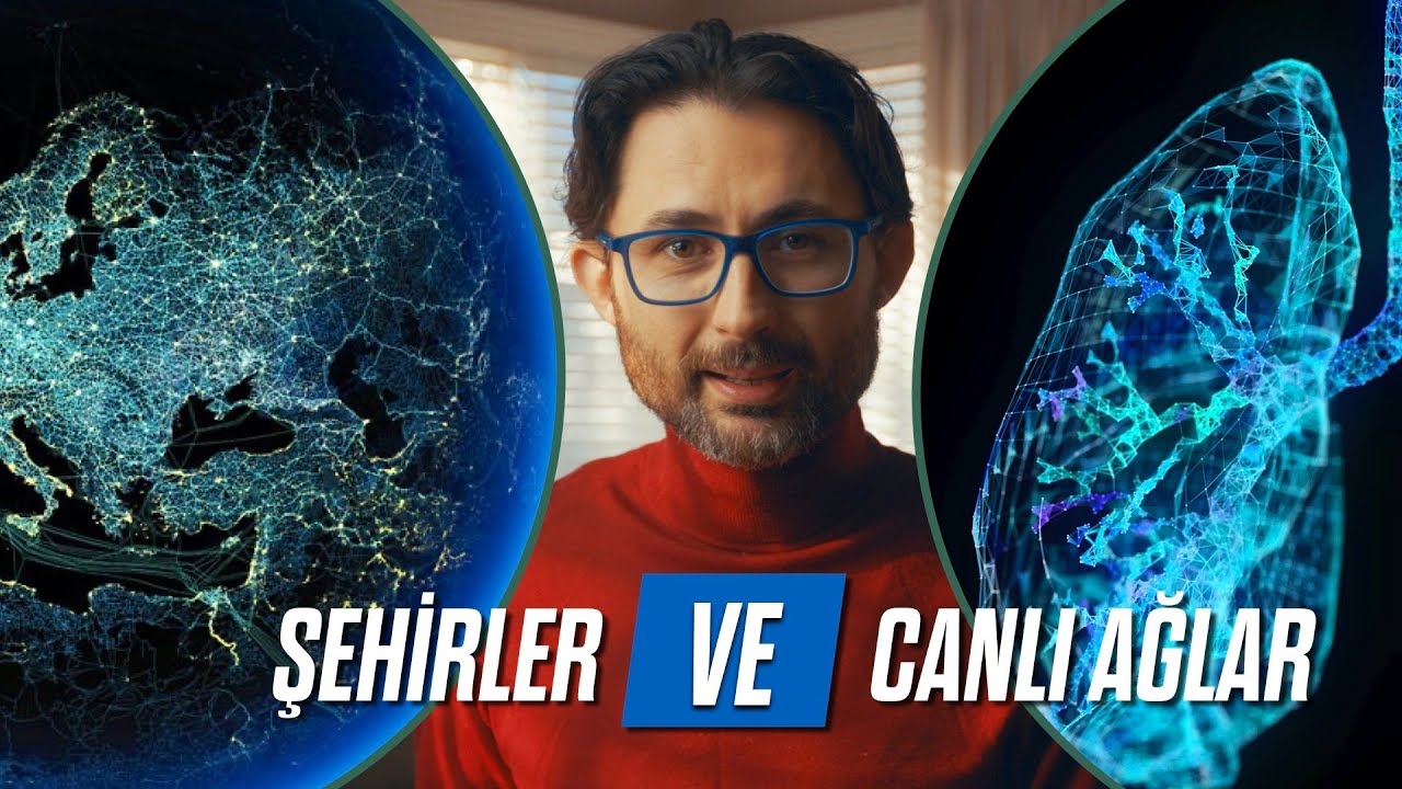 Şehirler ve Canlı Ağlar