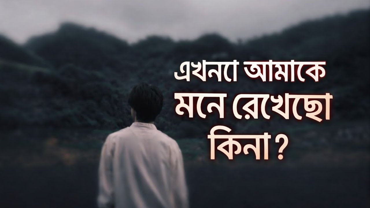 জানিনা তুমি আজও কি নিউ স্টরি0. 🫷🫵