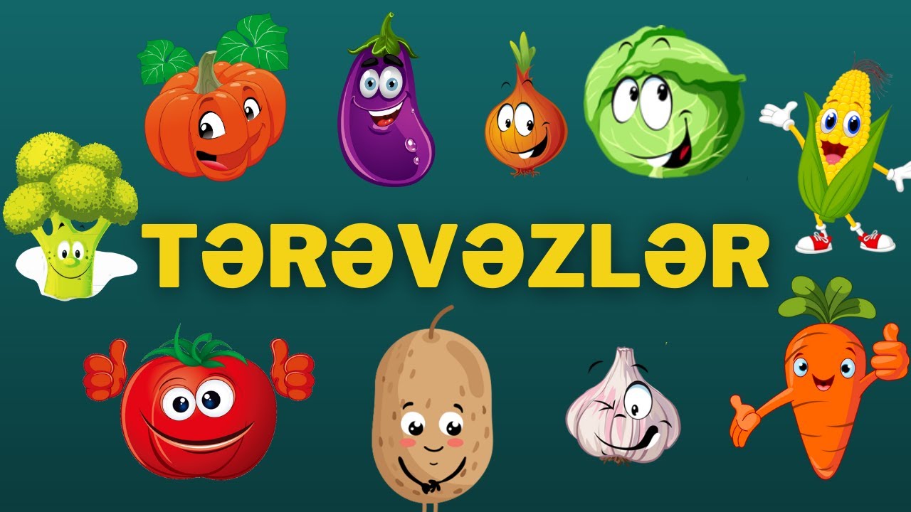 TEREVEZLERİ OYRENEK