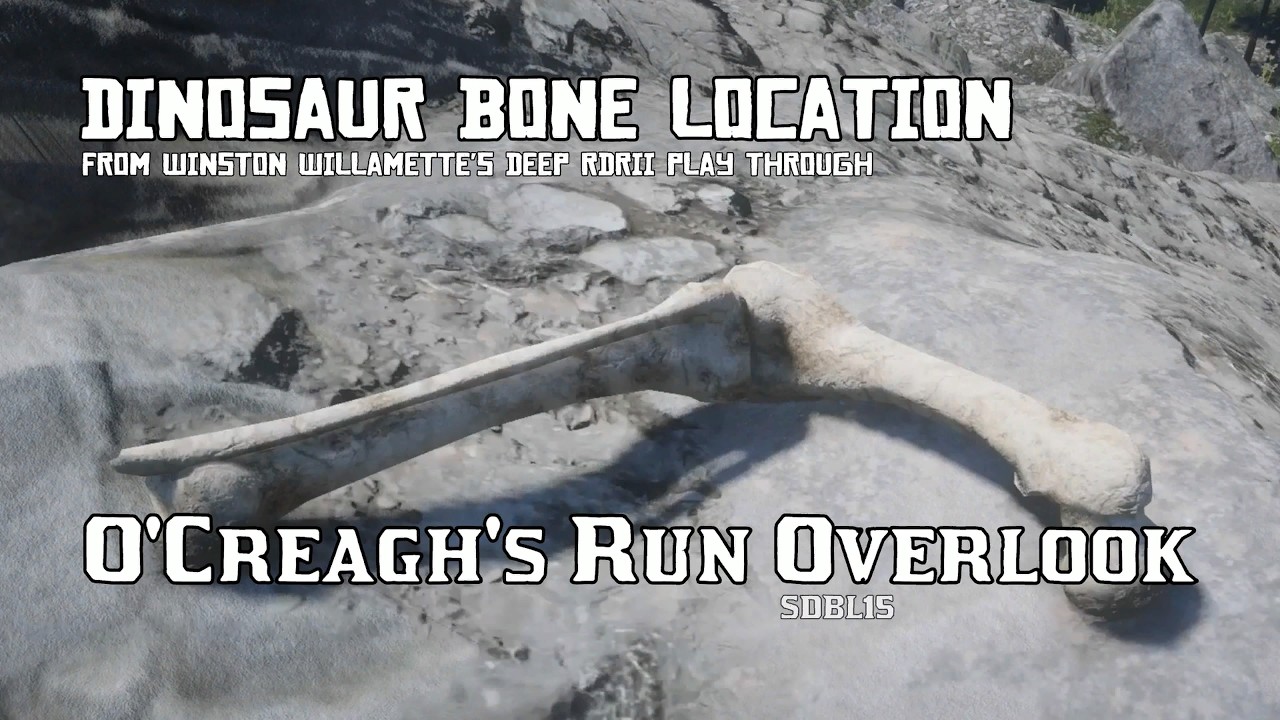 O'Creagh's Run Overlook - Dinosaur Bone Location [RDRII]