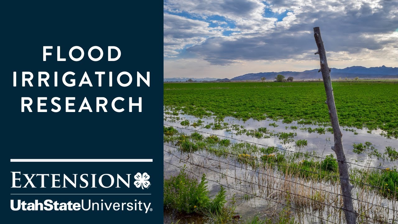 Flood Irrigation Research