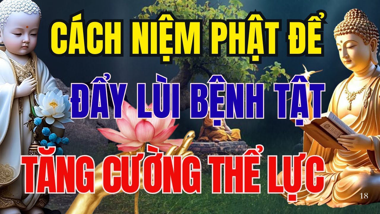 LỜI PHẬT DẠY ĐÊM KHUYA: CÁCH NIỆM PHẬT ĐỂ ĐẨY LÙI TẬT BỆNH VÀ TĂNG CƯỜNG THỂ LỰC | AN LẠC TỪ TÂM