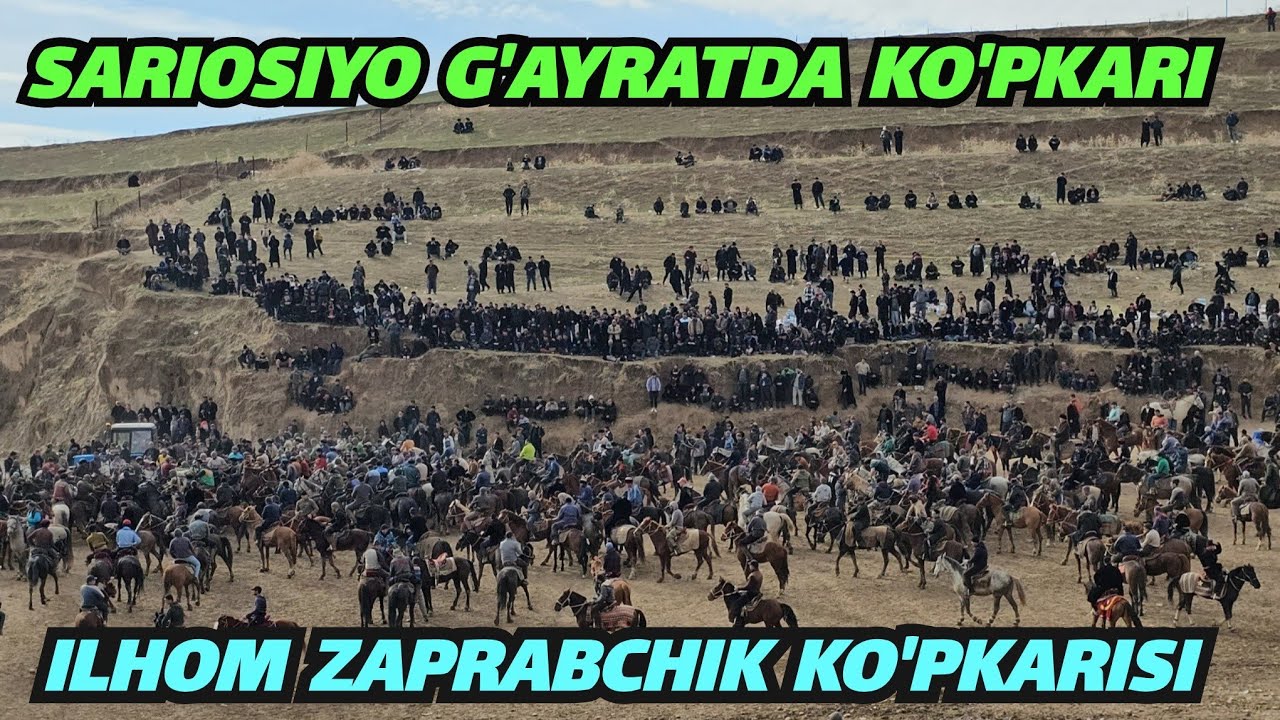 Sariosiyo G'ayratdan Burnoch Siradaryo otlarni egasi Ilhom Zaprabchikning katta ko'pkarisi.!