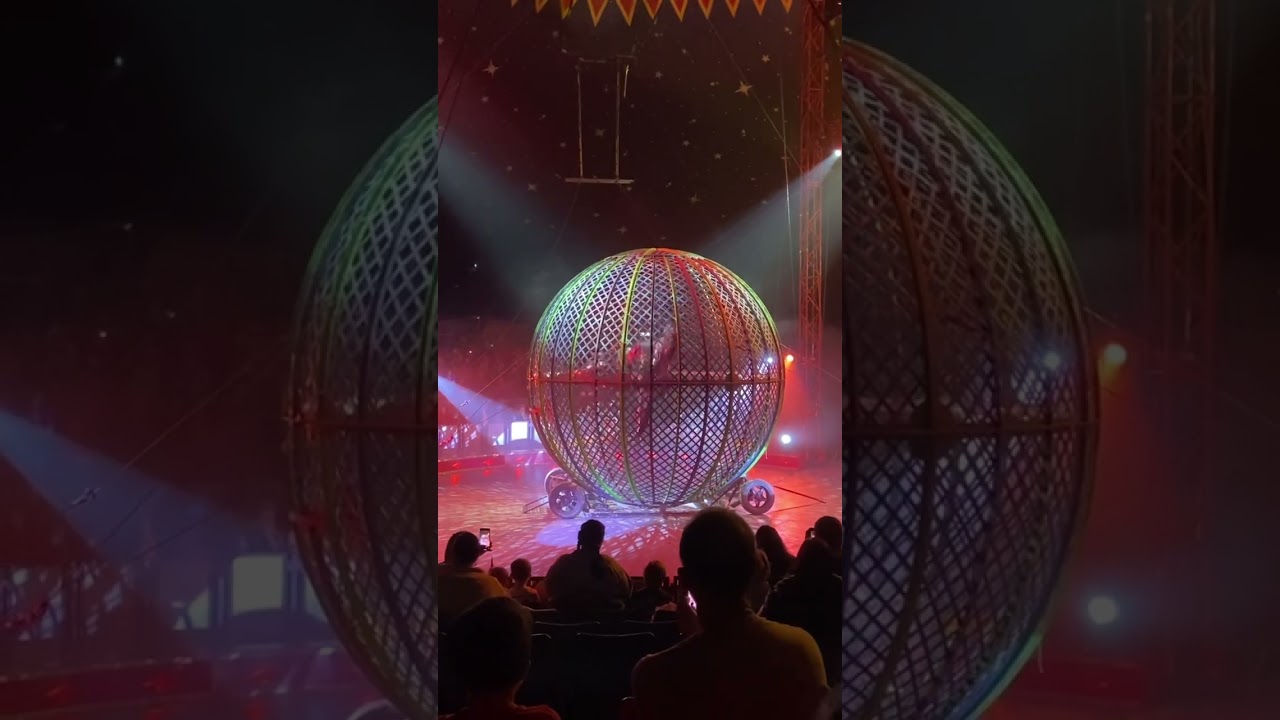 #circus #circuseverydamnday #circusartistcirque #circuscircus #circusaroundtheworld #circusfun