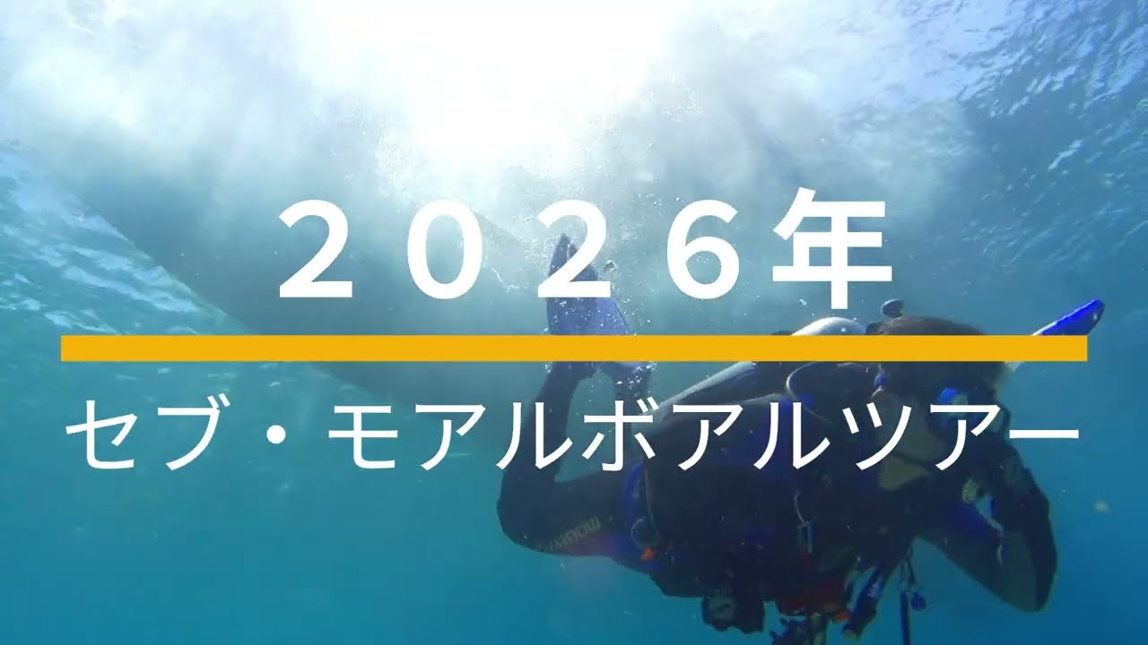 セブ・モアルボアルツアー２０２６年春　サザナミマリンダイビングスクール