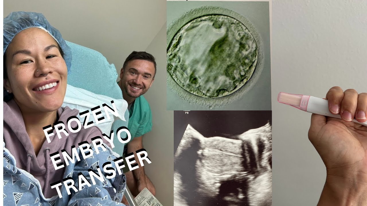 MY IVF FROZEN EMBRYO TRANSFER (FET)