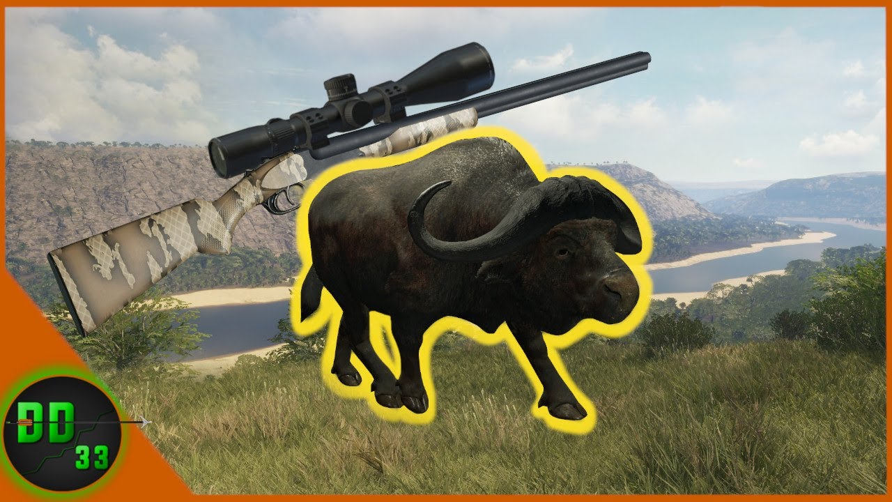 We Busted A Myth On The Cape BUFFALO! Call Of The Wild
