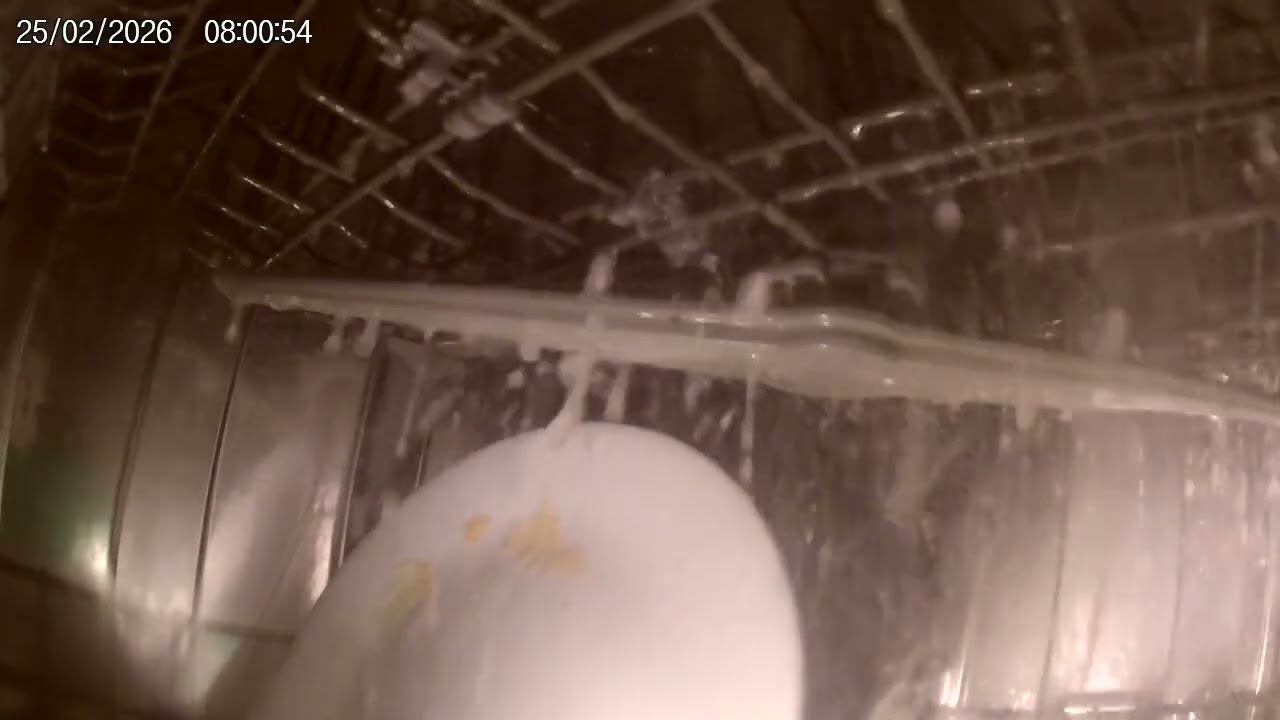 Will it clean this plate