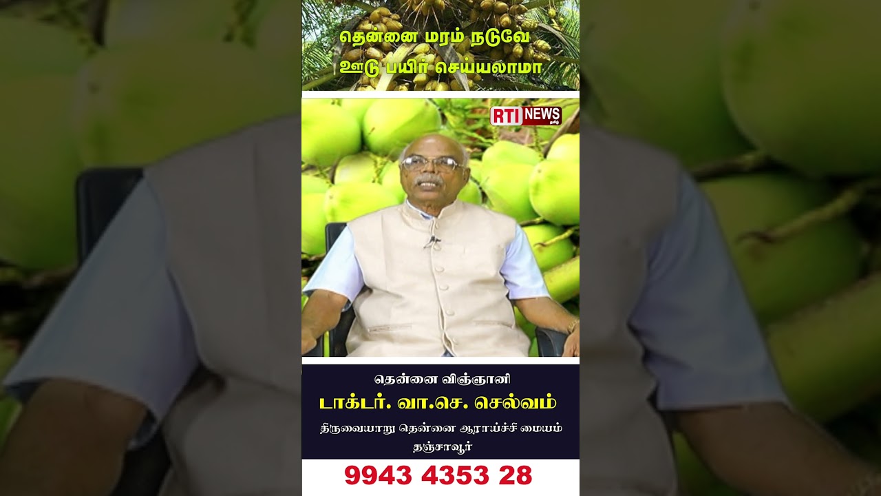 தென்னை மரம் நடுவே ஊடு பயிர் செய்யலாமா  | Coconut Farming Tamil