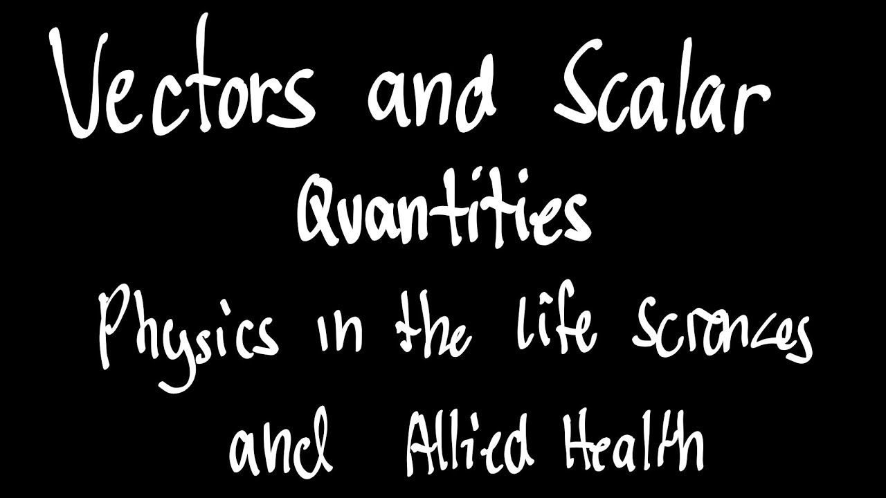 Vectors and Scalar Quantities | Physics Fundamentals
