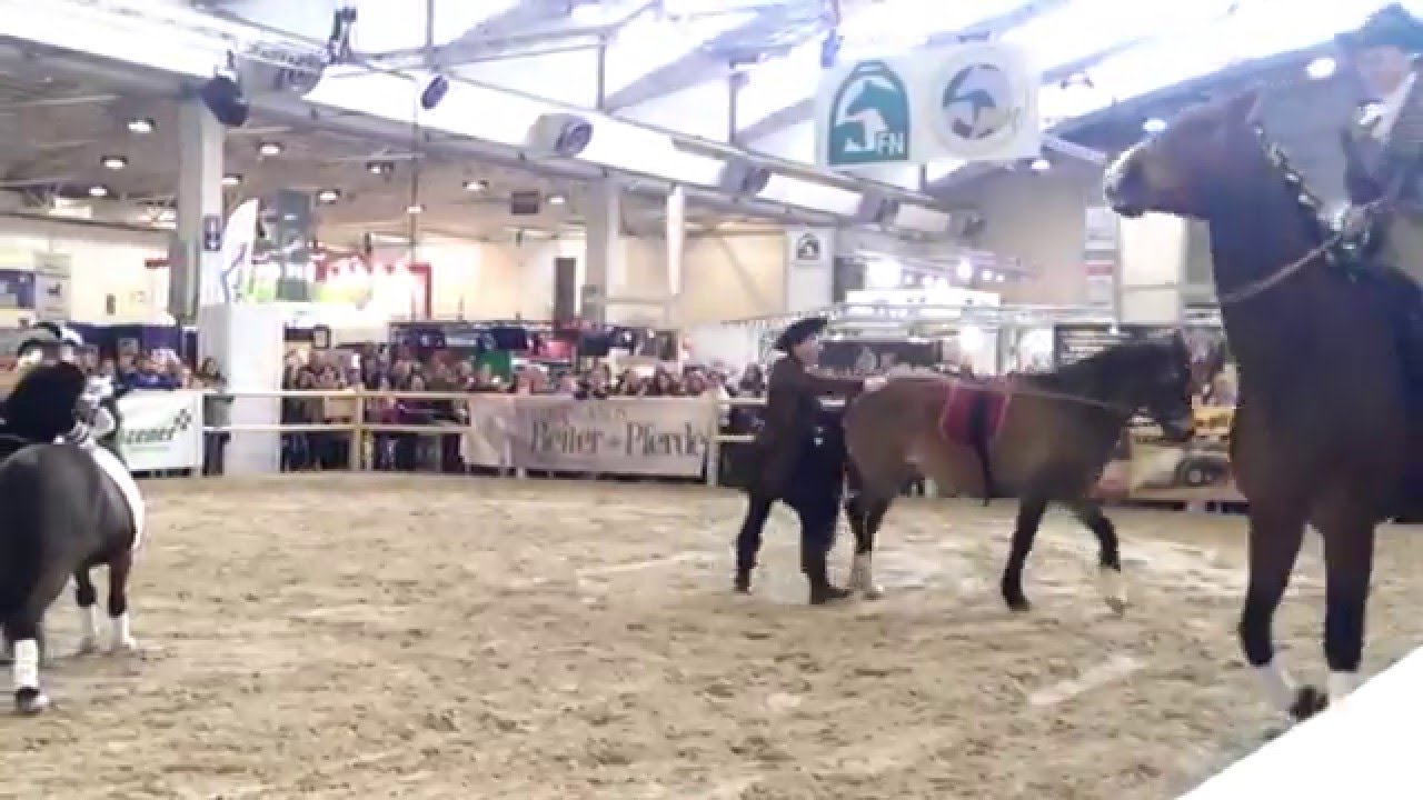 Klassisch Barocke Reitweise - Equitana 2015