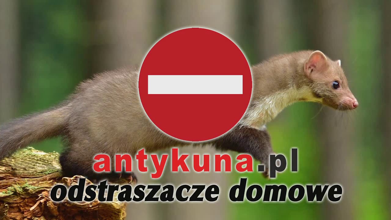ANTYKUNA.PL PRODUKTY I ICH DZIAŁANIE