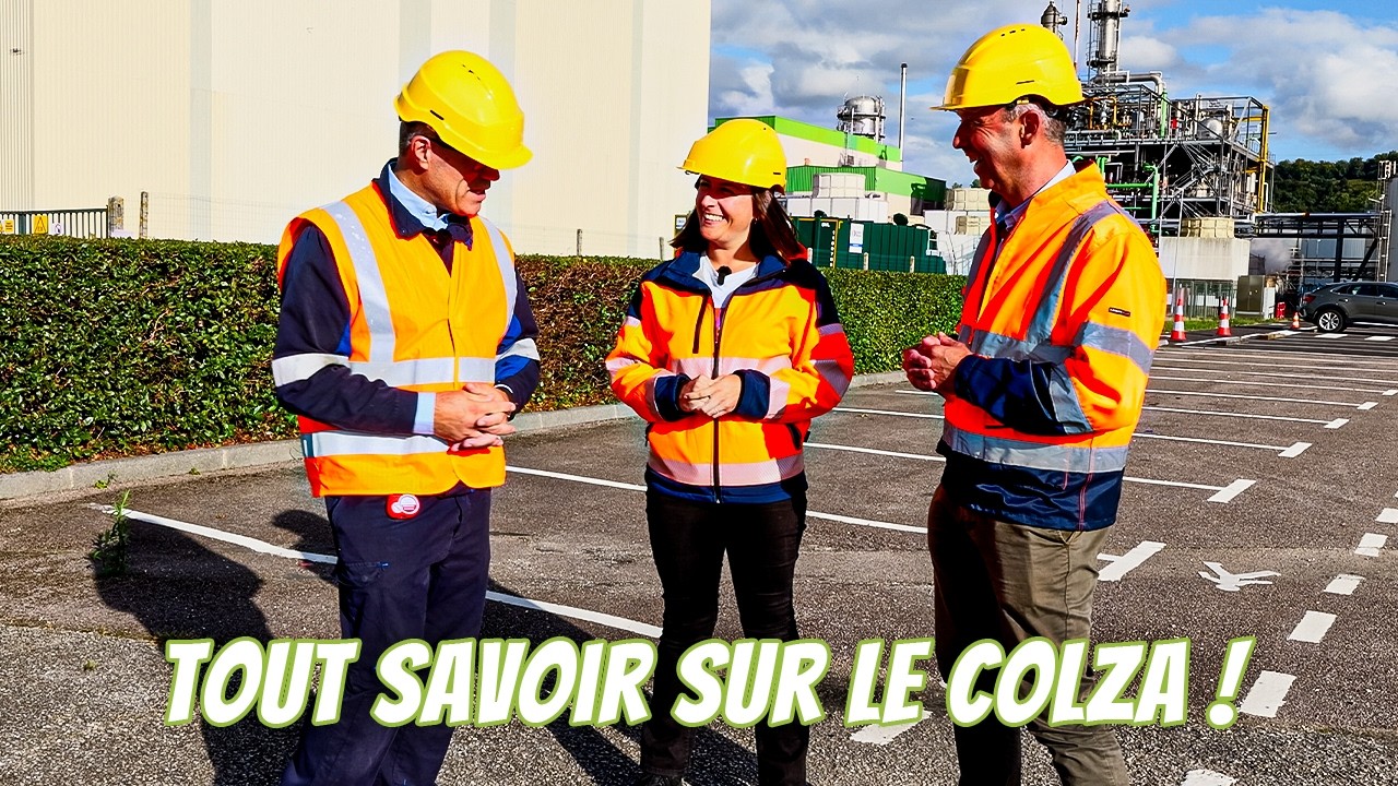 Comment on extrait l’huile de colza ? Visite de l'usine géante Saipol ! 🌾