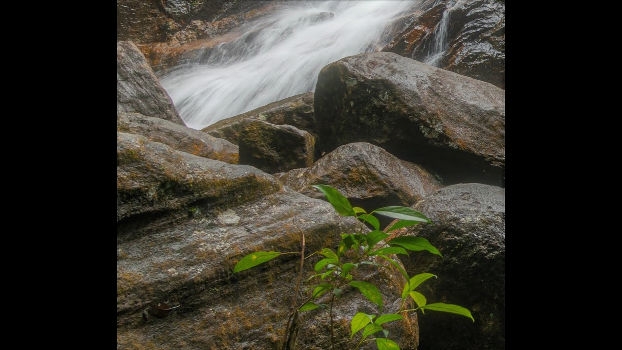 40 Minutes Of Calming And Sleep Inducing Nature Sounds For Sleep And Relaxation